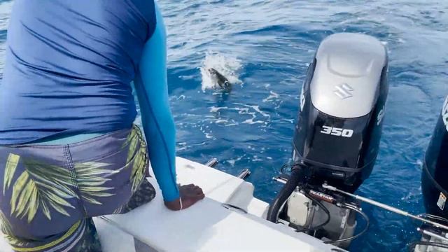 Рыбалка за 1.700$ ??? Как поймать тунца на Сейшелах - Супер Алекс смотреть онлайн