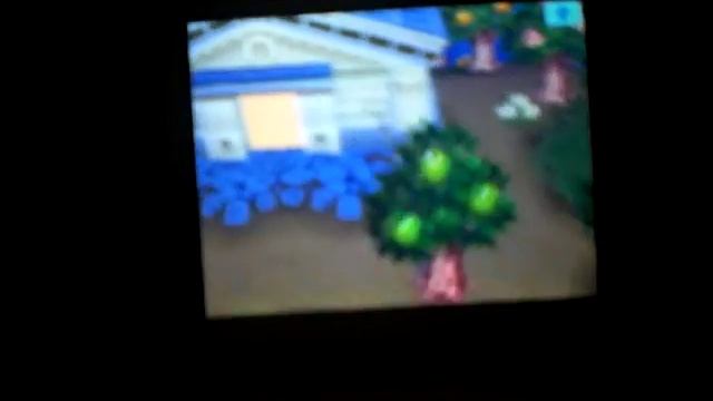 Animal Crossing Wild World: How to get Perfect town. смотреть онлайн
