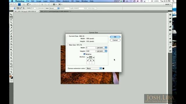 How to Create a Simple Diptych in Adobe Photoshop CS4 смотреть онлайн
