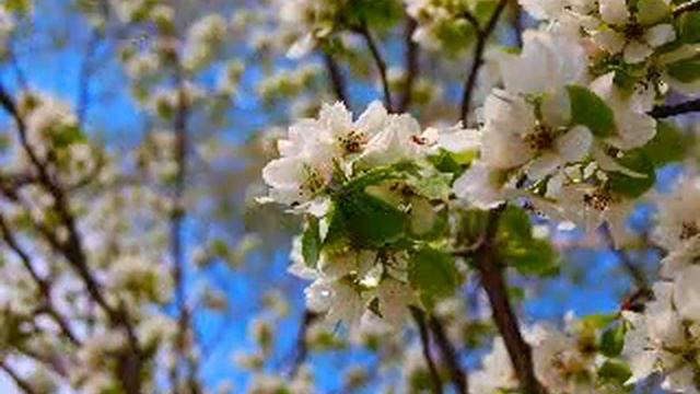 Все для тебя. смотреть онлайн