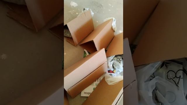 Покупка в АгроМаркет | Клубника смотреть онлайн