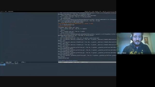 Learning Websockets, part 1 - echo server смотреть онлайн