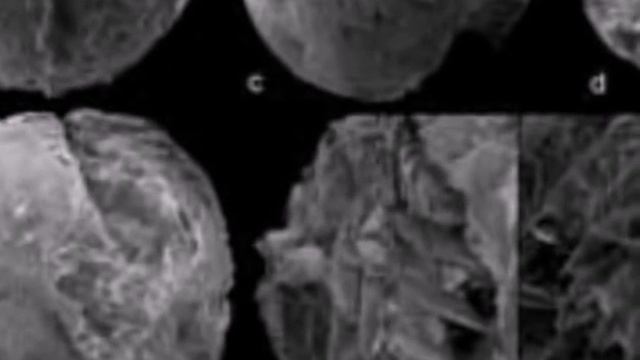 Fossilized embryos of unknown animals in China Окаменевшие эмбрионы неизвестных животных в Китае смотреть онлайн
