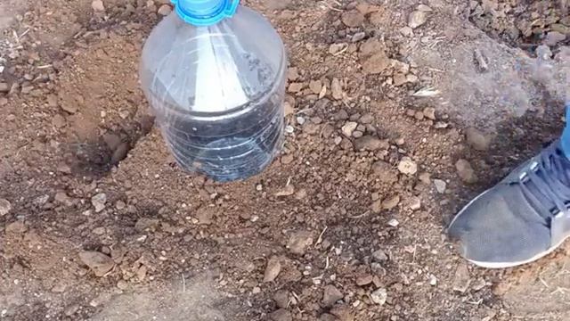 Domates nasıl dikilir, смотреть онлайн