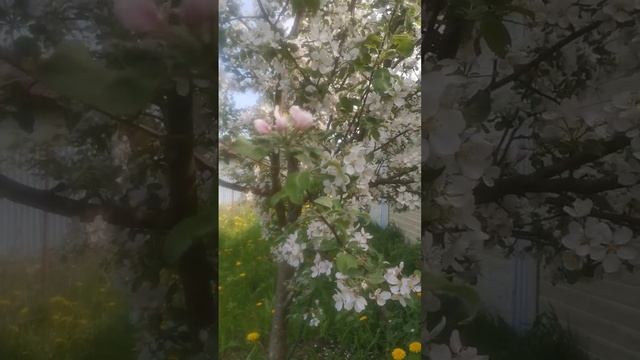 ТАЙНЫЕ КЛЮЧИ, ПЕРЕЖИТЬ РАСПАКОВКУ И НАБРАТЬ ЛИЧНУЮ СИЛУ смотреть онлайн