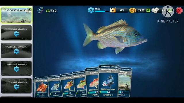 Clashing fishing/рыбачим под веселую музыку,ловим классных рыбок и побеждаем в поединках/Gameplay смотреть онлайн