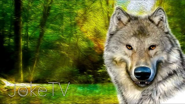 Анекдоты про животных. Анекдоты от Волка #19 смотреть онлайн