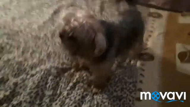 Что я связала крючком. смотреть онлайн