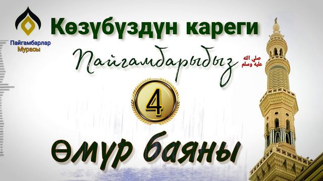 Аллахтын элчисинин пайгамбар болуусу.4/сабак. Устаз Зиябидин. смотреть онлайн