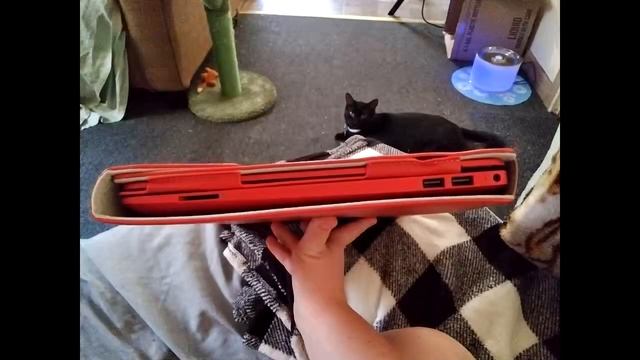 Alapmk Protective Case for 15.6" HP Notebook 15 15-dwXXXX 15-DW0043DX/15-dyXXXX 15-DY1010NR/1 Revie смотреть онлайн