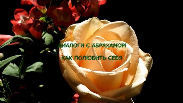 Диалоги c Абрахамом. Как полюбить себя смотреть онлайн