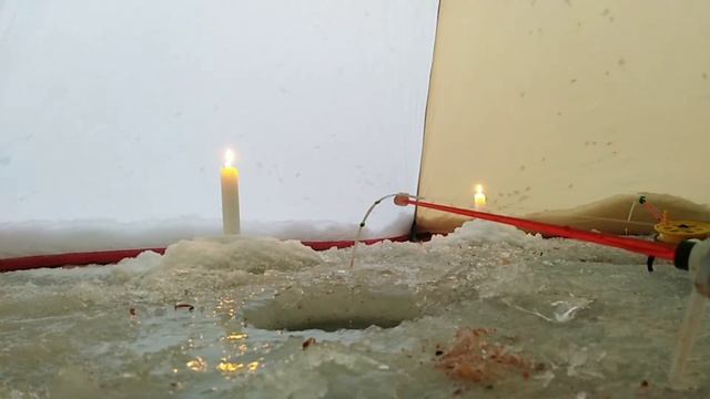 Супер клёв! Рыбалка на карася в палатке! Душа поёт когда клюёт! смотреть онлайн