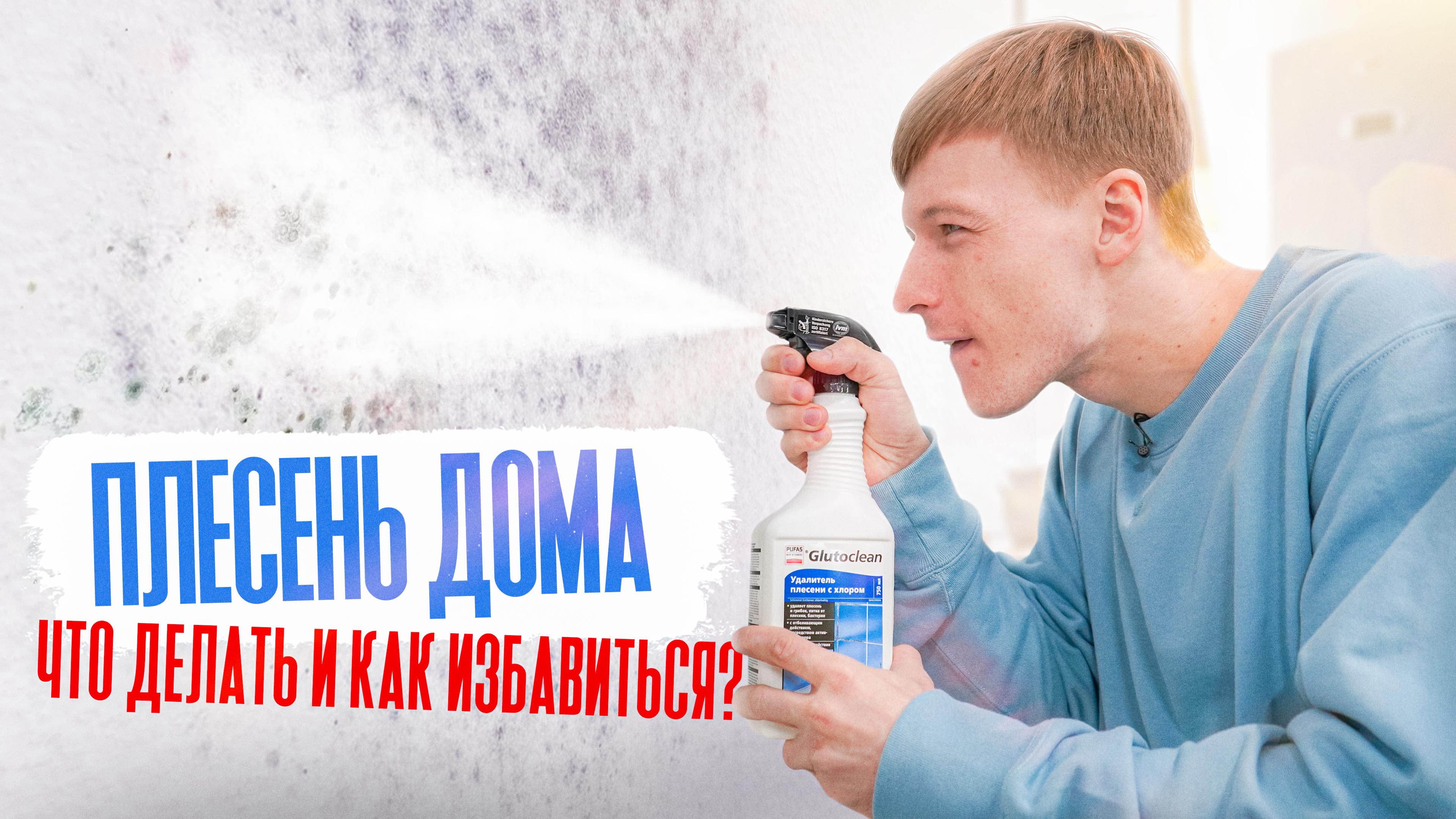 Плесень дома: что делать и как избавиться