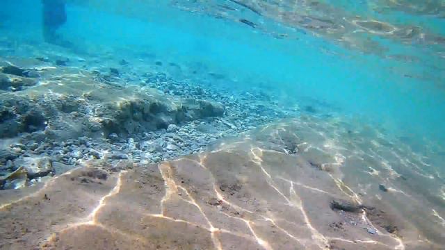 рыбки красного моря и заморский тюлень sharm el sheikh 2017.07.16 смотреть онлайн