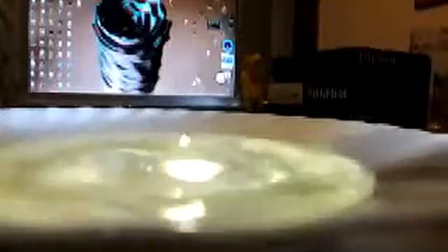 slow motion смотреть онлайн