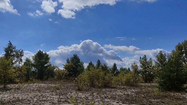 Женщины с этими именами популярны среди колдуний... смотреть онлайн