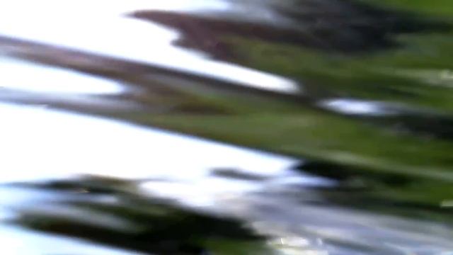 07-06-2011 - молитва Илие-Пророку смотреть онлайн