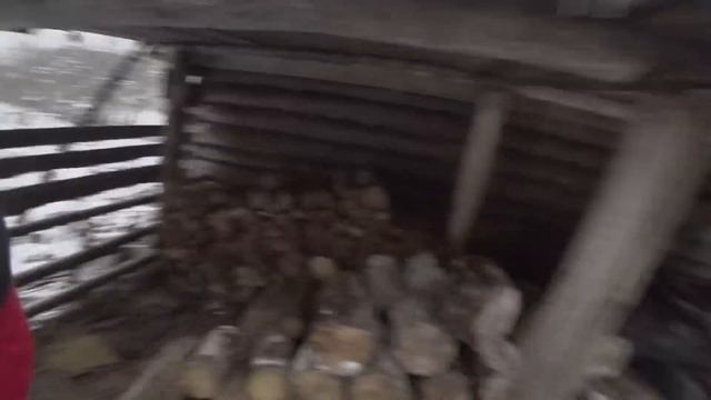 Охота на лося с лайкой.Нашёл останки лося. смотреть онлайн