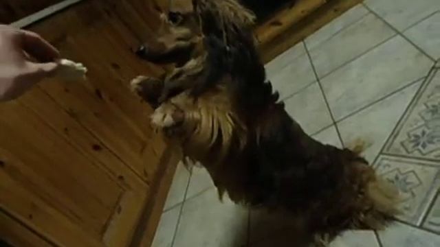 Epic begging смотреть онлайн