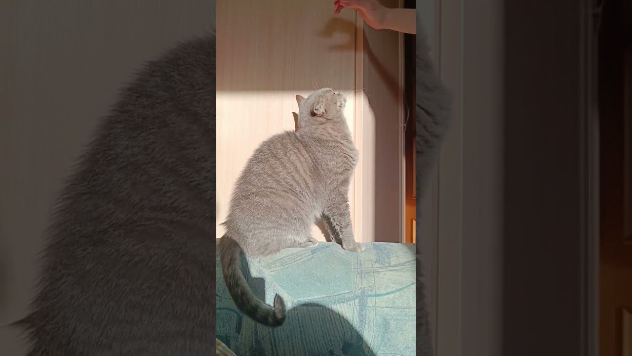 Барыня Ришельё негодует смотреть онлайн