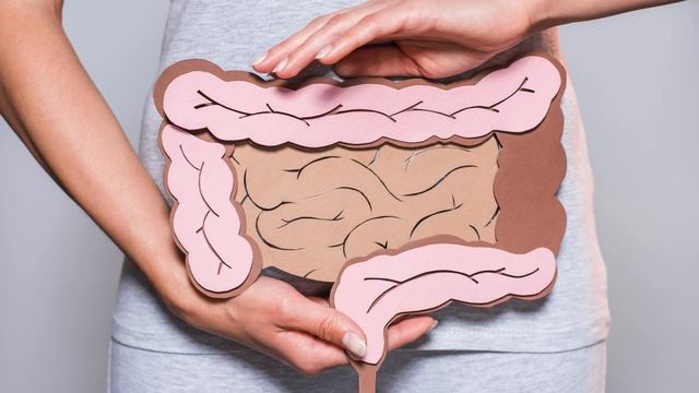 Ansiedad y Microbiota Intestinal смотреть онлайн