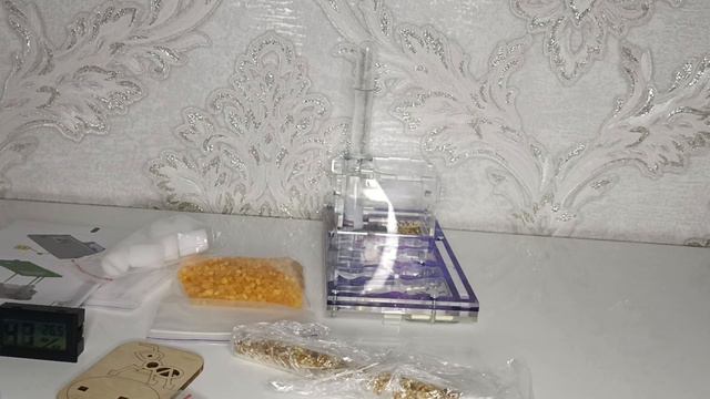 уход за муравьями смотреть онлайн