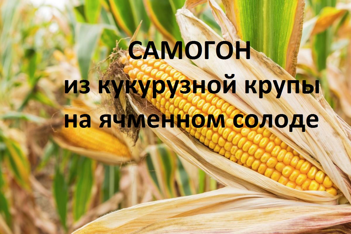 Самогон на кукурузной крупе и ячменном солоде.mp4