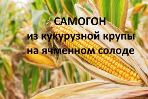 Самогон на кукурузной крупе и ячменном солоде.mp4