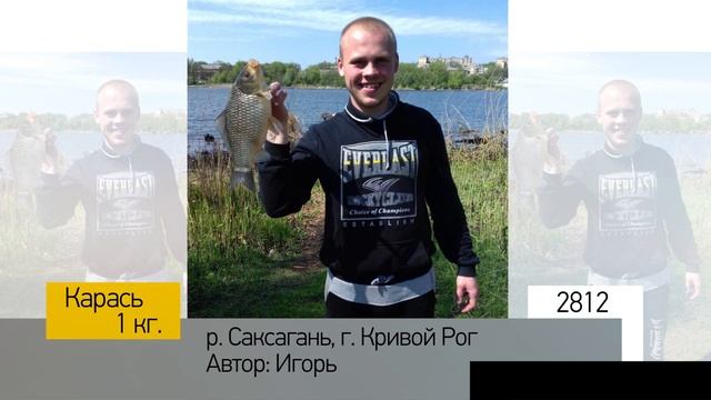 Фотоальбом - Рыбалка №562 смотреть онлайн