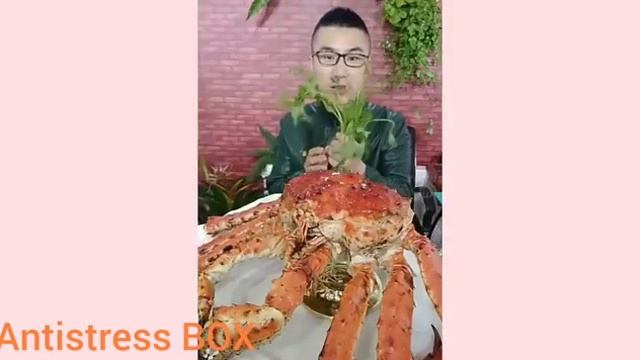 Китайцы едят пауков просто жуть смотреть онлайн