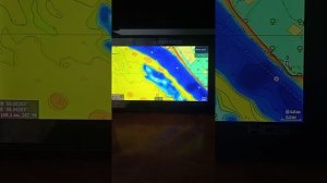 Карта глубин c-map RS-Y050