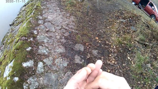 Как наживить опарыша на крючок, Рыбалка, Насадить опарыша, Донка, Поймать крупную рыбу. смотреть онлайн