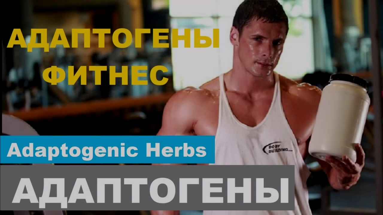 АДАПТОГЕНЫ И ФИТНЕС АПТЕЧНАЯ ФАРМА  Adaptogenic Herbs