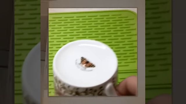 Чудесный силиконовый коврик в кухню смотреть онлайн