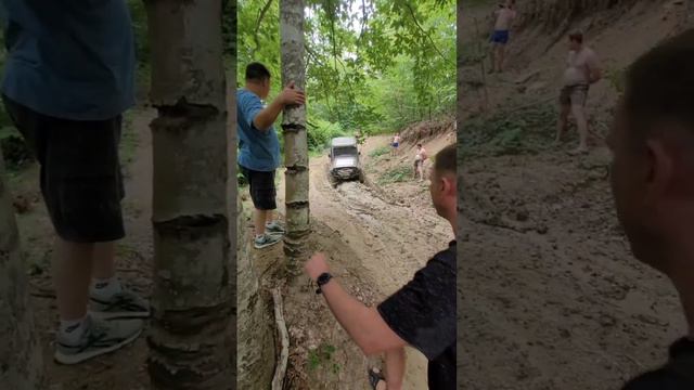 ПРИРОДА ДВИЖЕНИЯ. смотреть онлайн