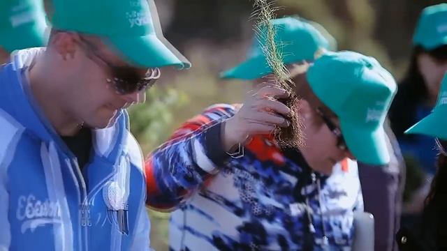 "Лес - своими руками" смотреть онлайн