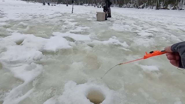 Плотва на Рыбинском река сить 24.12.2022 смотреть онлайн