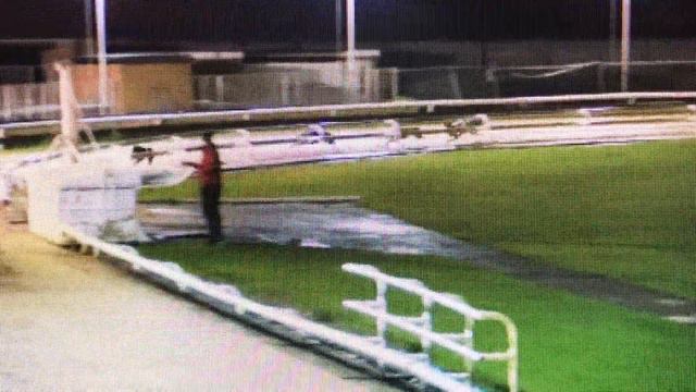 MISS AETHELFLAED (4) Greyhound Open Race winner Harlow 28.11.2018 смотреть онлайн