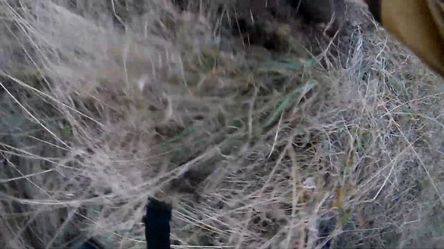 Nokta Makro Simplex Plus распаковка первая монета