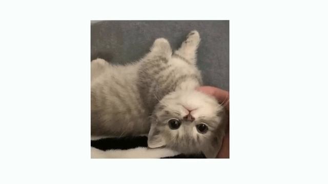 Кто-то ещё-Yanix (speed Up)