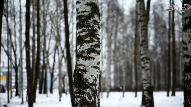 Я по первому снегу бреду... смотреть онлайн