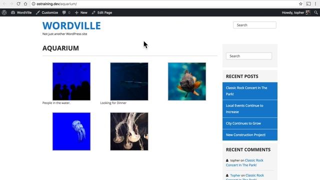 WordPress Beginner Tutorial #15: Photo Galleries in WordPress смотреть онлайн