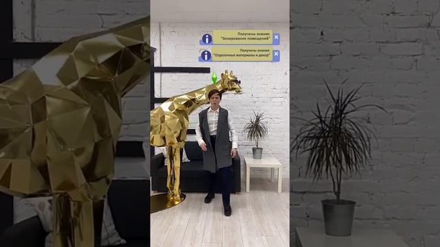 Если бы курсы дизайна интерьера были игрой #mshp смотреть онлайн