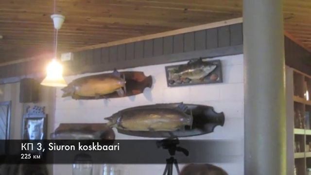 Бревет 600км ""Сатакунта" Финляндия. 06 -2015 смотреть онлайн