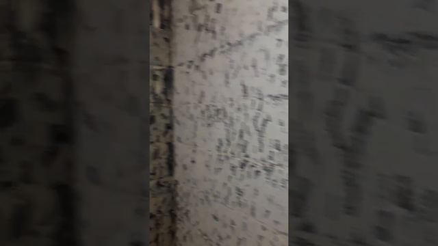 2день работ ванны под ключ - подготовка, электрика смотреть онлайн