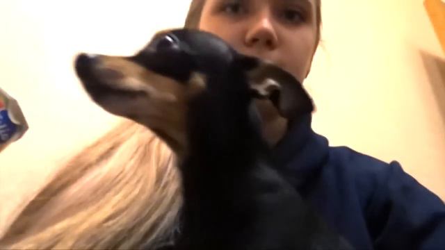 VLOGMAS#29: ПОКУПКИ К НОВОМУ ГОДУ: ПОДАРКИ И ПРОДУКТЫ / ЧТО МЫ БУДЕМ ГОТОВИТЬ? смотреть онлайн