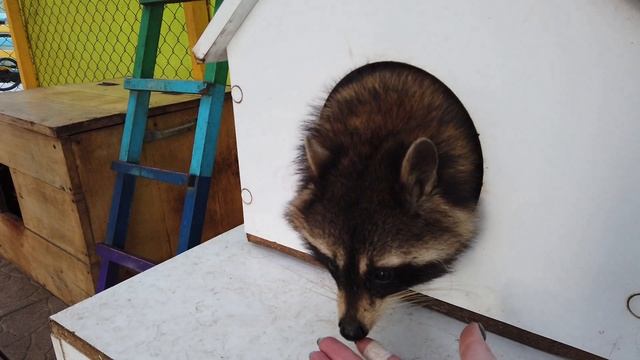 ЛЬВОВ - Достопримечательности, храмы, экскурсии! Видео на БЕЛАРУСКАЙ мове! (Русские субтитры) смотреть онлайн