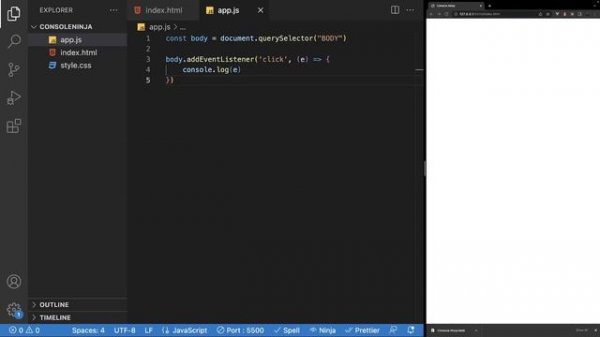Amazing New VS Code Extension | Console Ninja