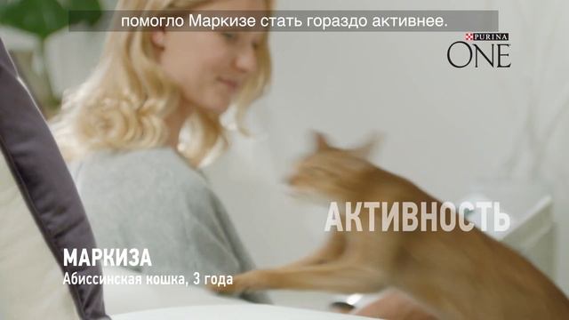 Purina ONE® Bifensis