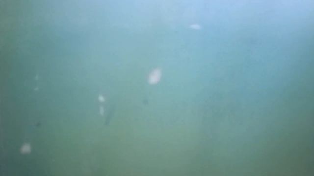 Новейший NLM 2021 года! Всего 2 дня в работе! || Сусловой 20 п3 смотреть онлайн